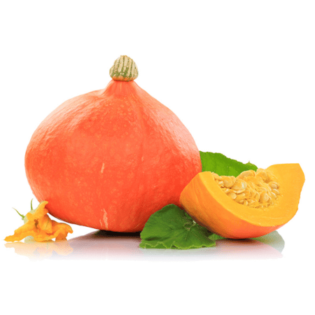 Hokkaido-Kürbis